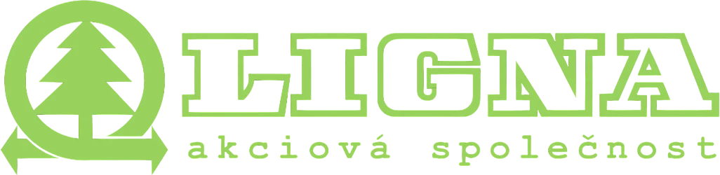 Smart One - externí správa IT