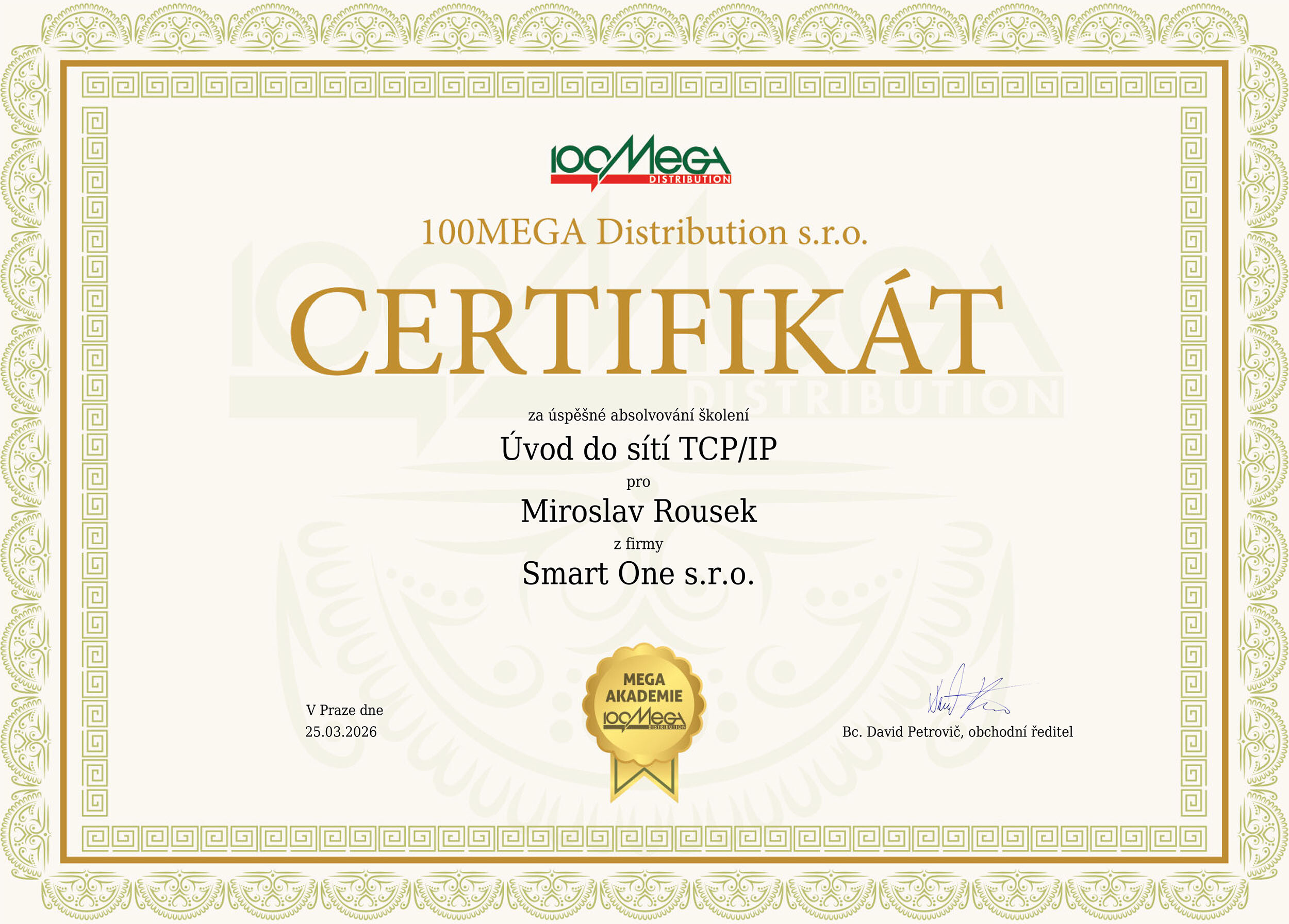 Rousek_cert Smart One - externí správa IT
